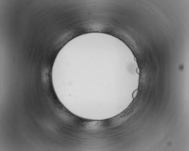X0000116330122201001131032