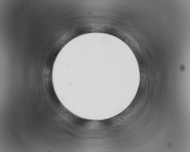 X0000116330123201001131032