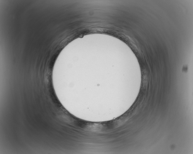 X0000116330125201001131032