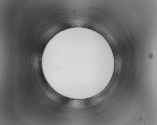 X0000116330126201001131032
