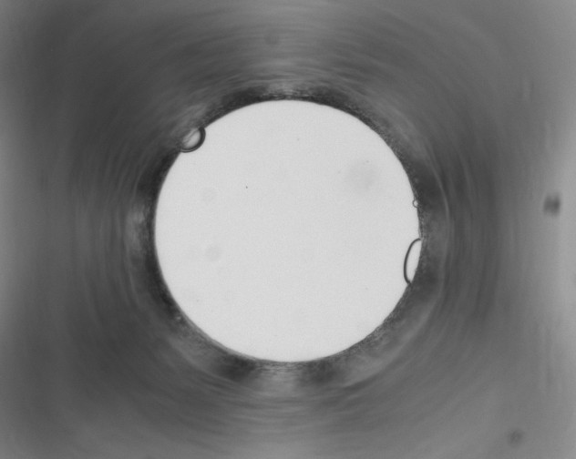 X0000116330127201001131032