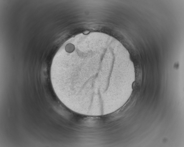 X0000116330128201001131032