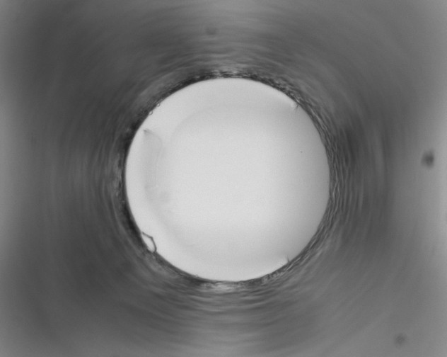 X0000116330129201001131032
