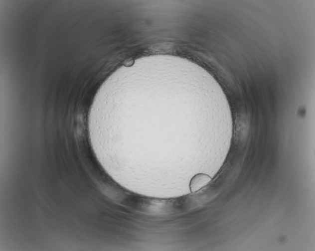 X0000116330130201001131032