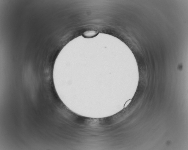 X0000116330131201001131032