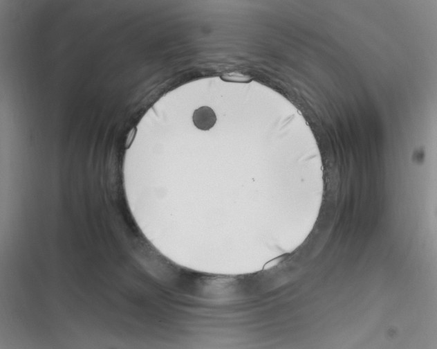 X0000116330132201001131032