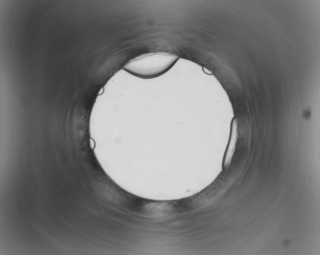 X0000116330133201001131032