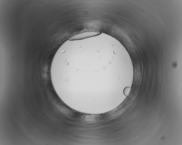 X0000116330134201001131032
