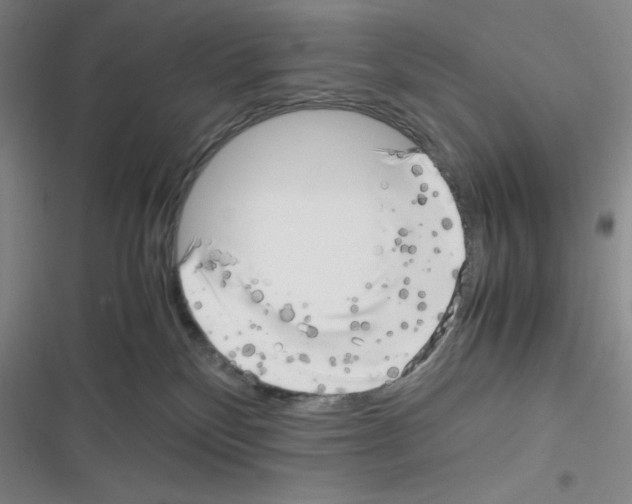 X0000116330136201001131032