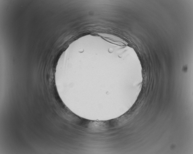 X0000116330137201001131032