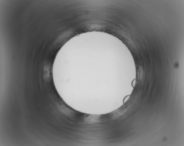 X0000116330138201001131032