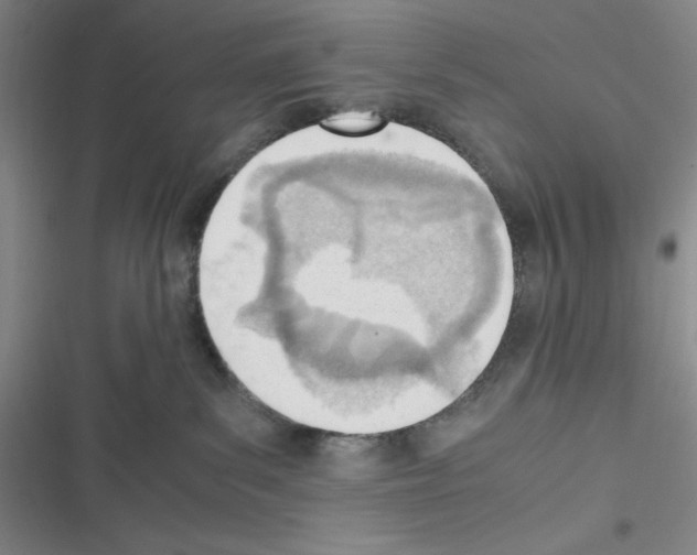 X0000116330139201001131032