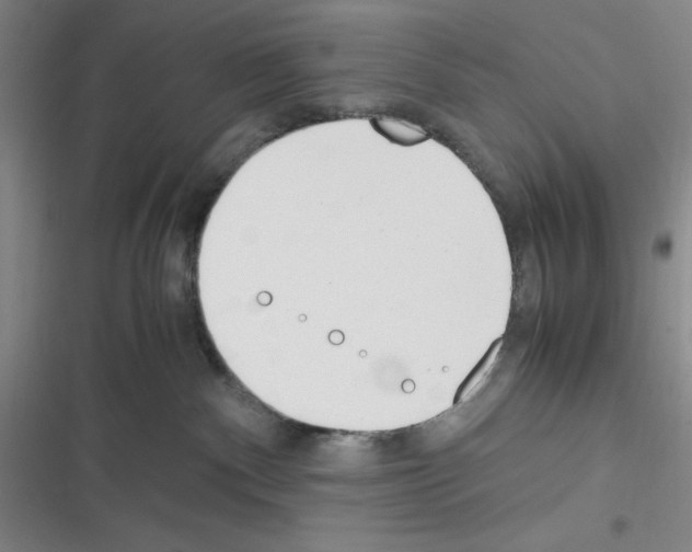 X0000116330140201001131032