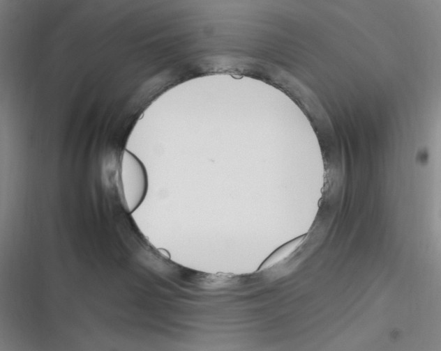 X0000116330142201001131032