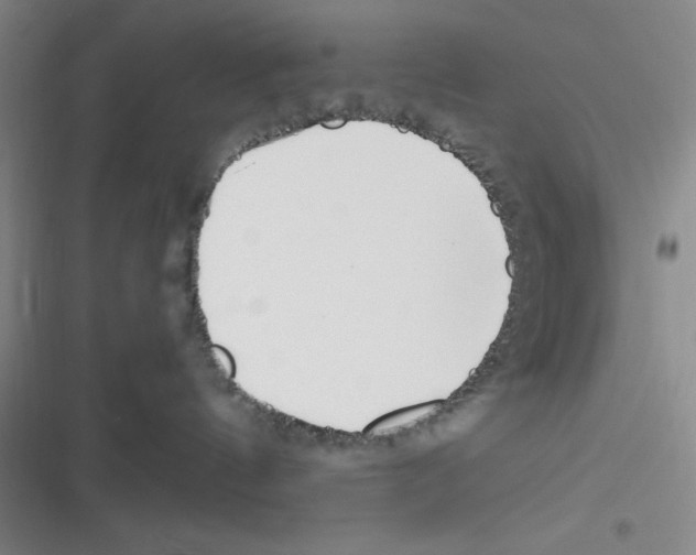 X0000116330144201001131032