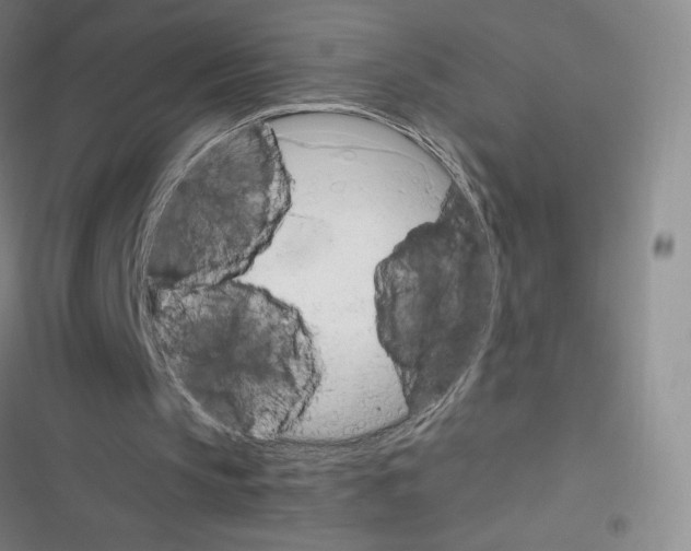 X0000116330145201001131031