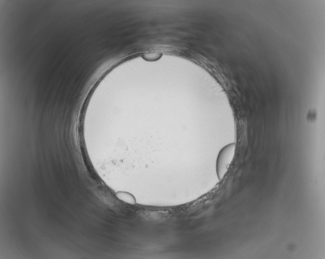 X0000116330147201001131031