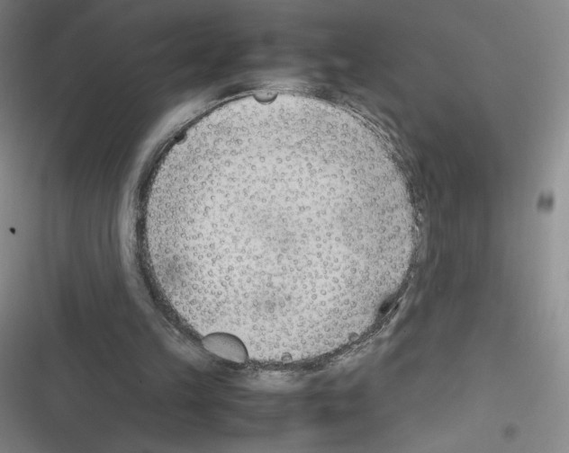 X0000116330149201001131031