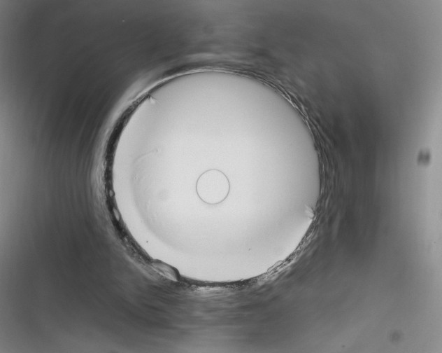 X0000116330150201001131031