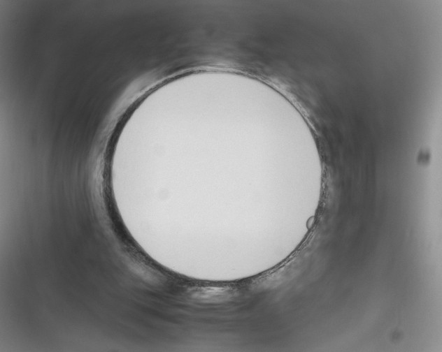 X0000116330151201001131031