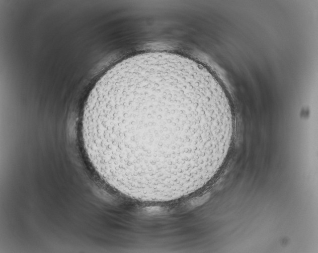 X0000116330153201001131031