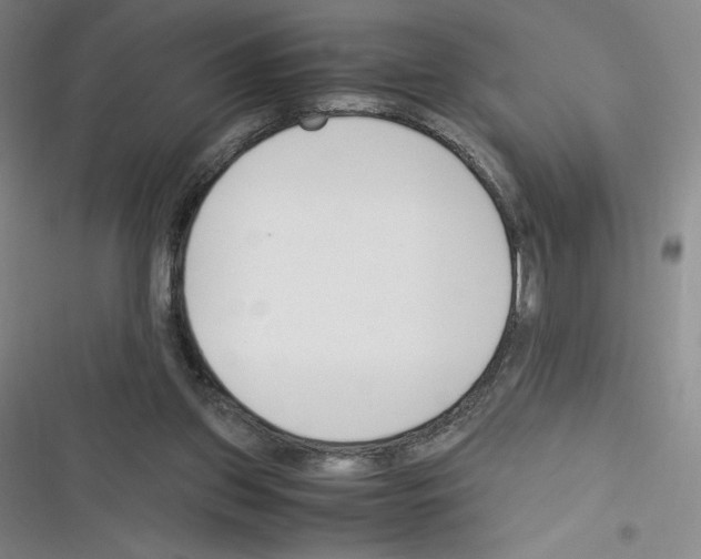 X0000116330157201001131031