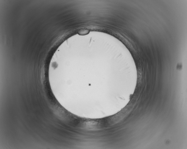 X0000116330158201001131032