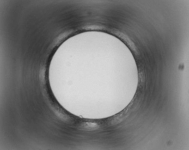 X0000116330159201001131032