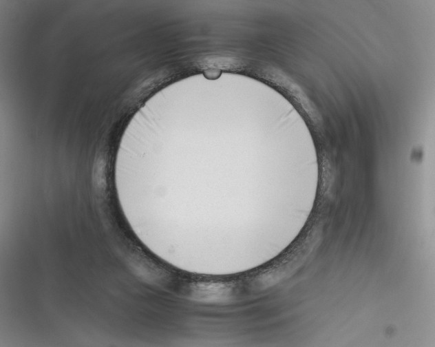 X0000116330161201001131032