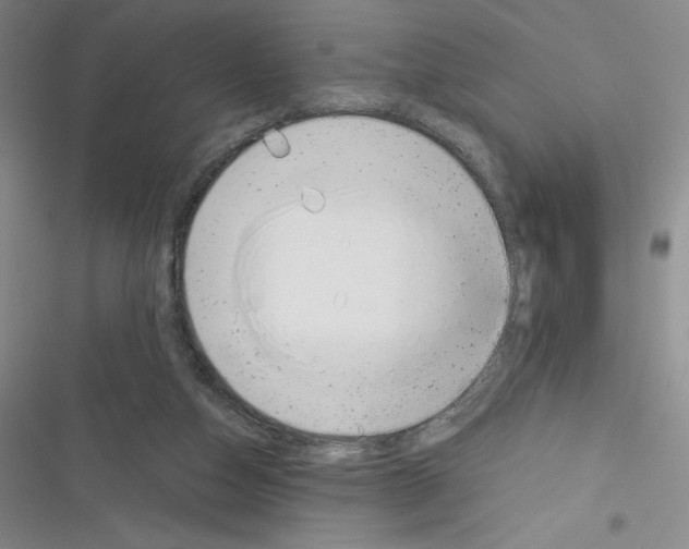 X0000116330162201001131032