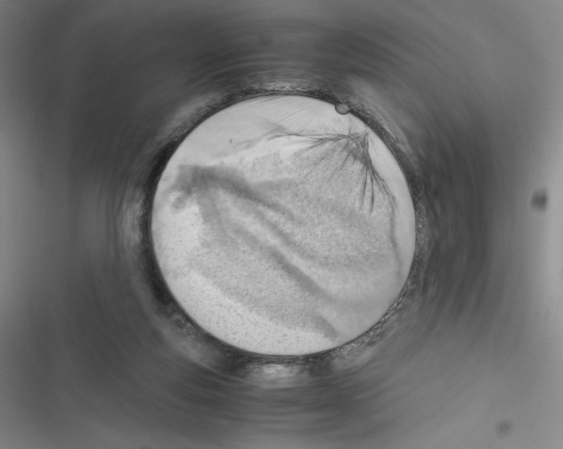 X0000116330163201001131032