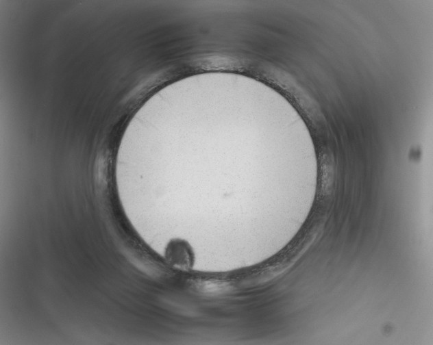 X0000116330165201001131032