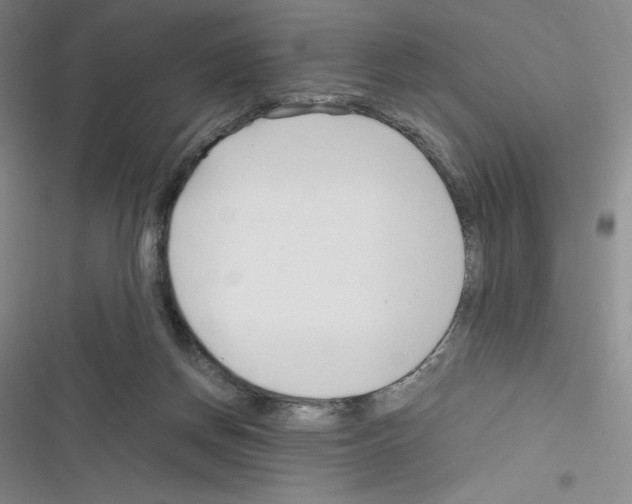 X0000116330166201001131032