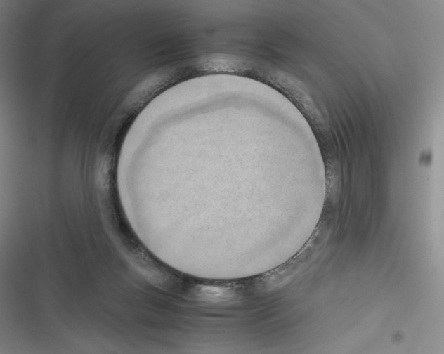 X0000116330167201001131032
