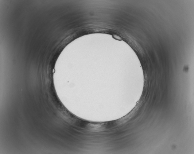 X0000116330170201001131032
