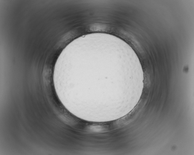 X0000116330171201001131032