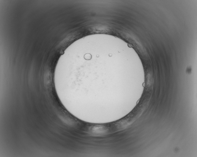 X0000116330173201001131032