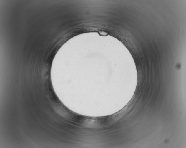 X0000116330174201001131032