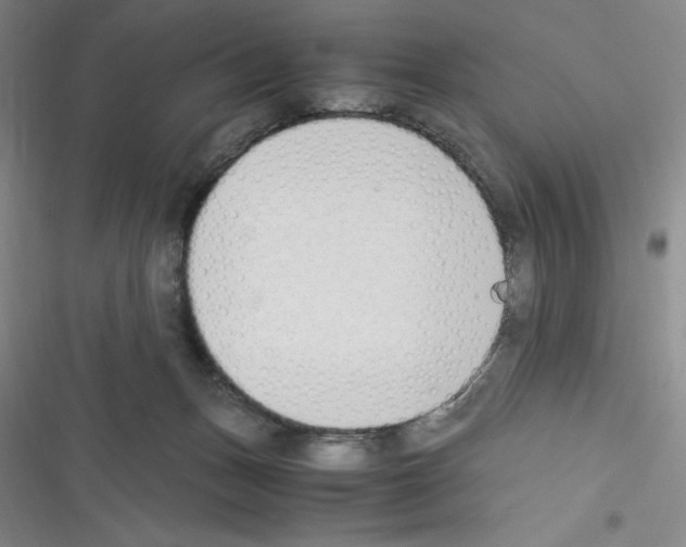 X0000116330175201001131032