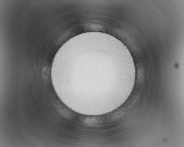 X0000116330177201001131032