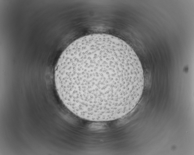 X0000116330179201001131032