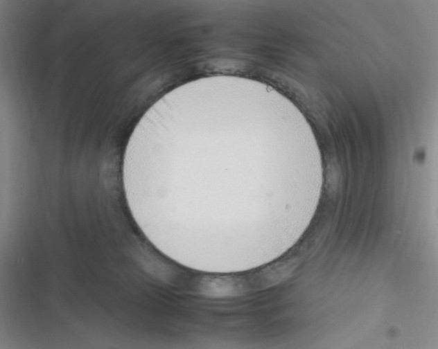 X0000116330181201001131032