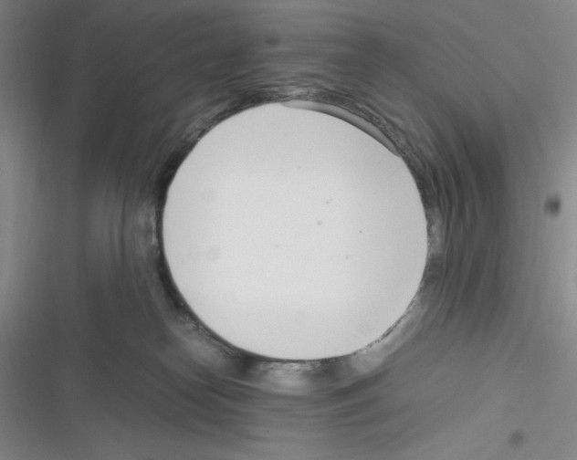 X0000116330182201001131032