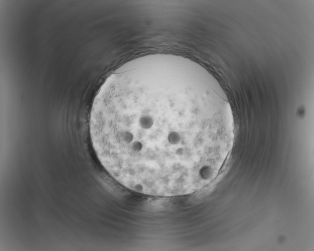 X0000116330186201001131032
