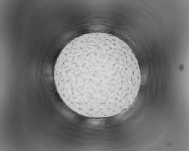 X0000116330187201001131032