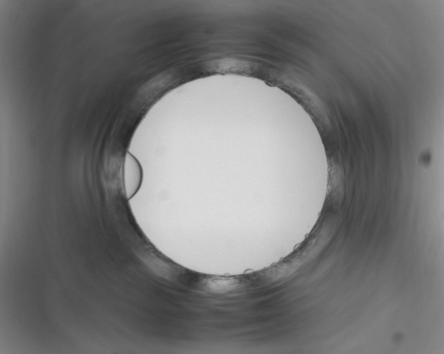 X0000116330189201001131032