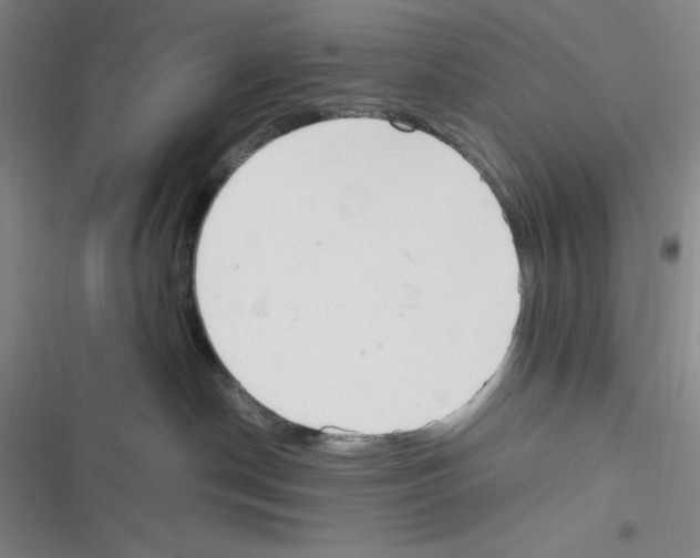 X0000116330190201001131032