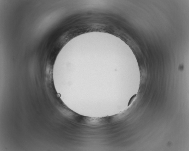 X0000116330191201001131032