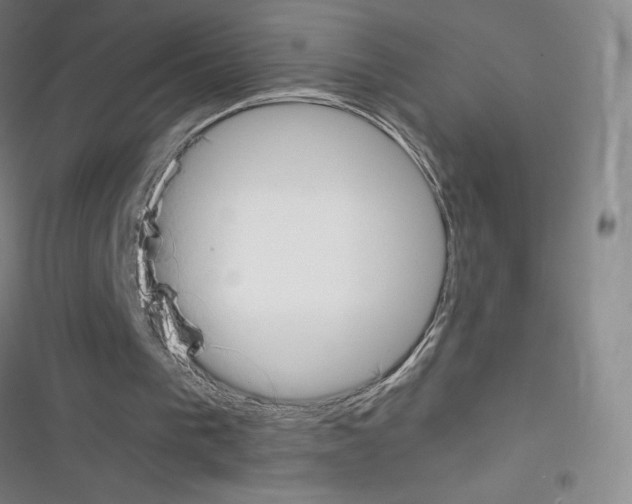 X0000116330193201001131031
