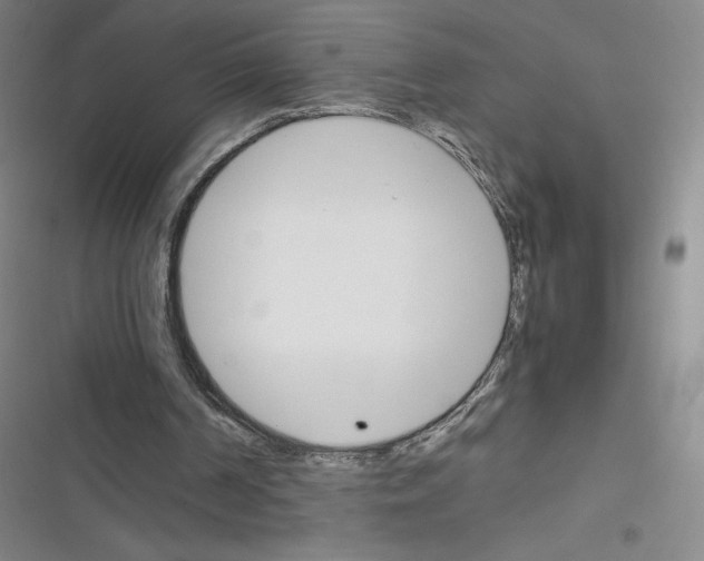 X0000116330194201001131031